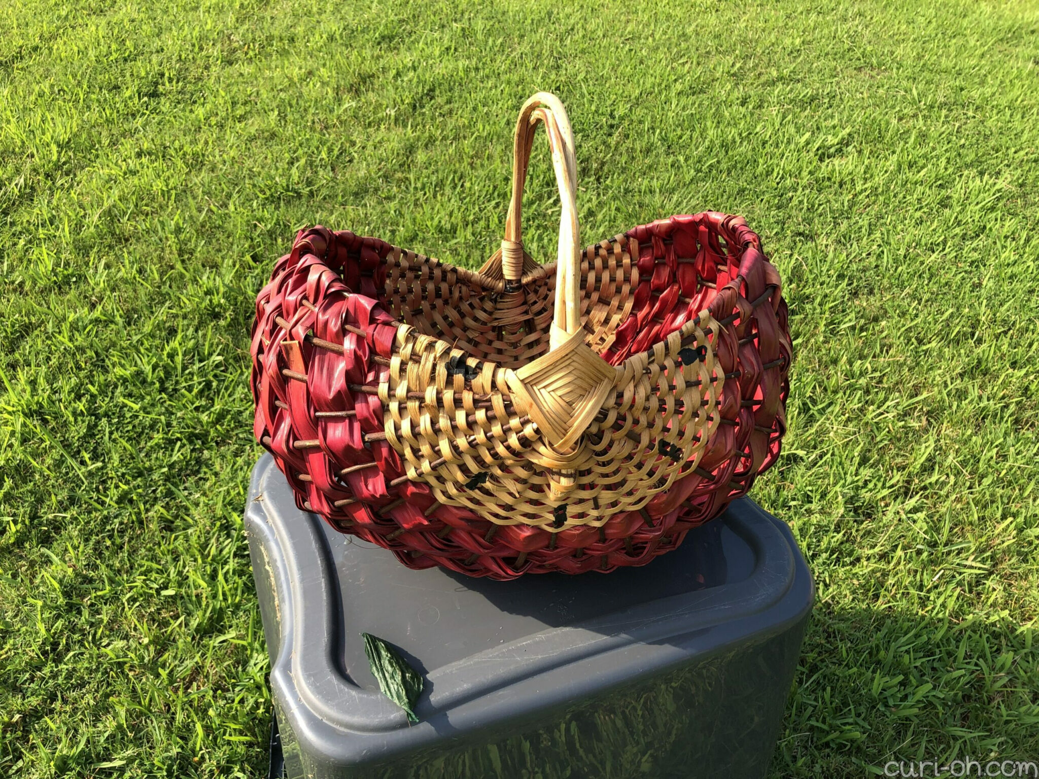 Cleaning a Thrifted Basket CuriOh!