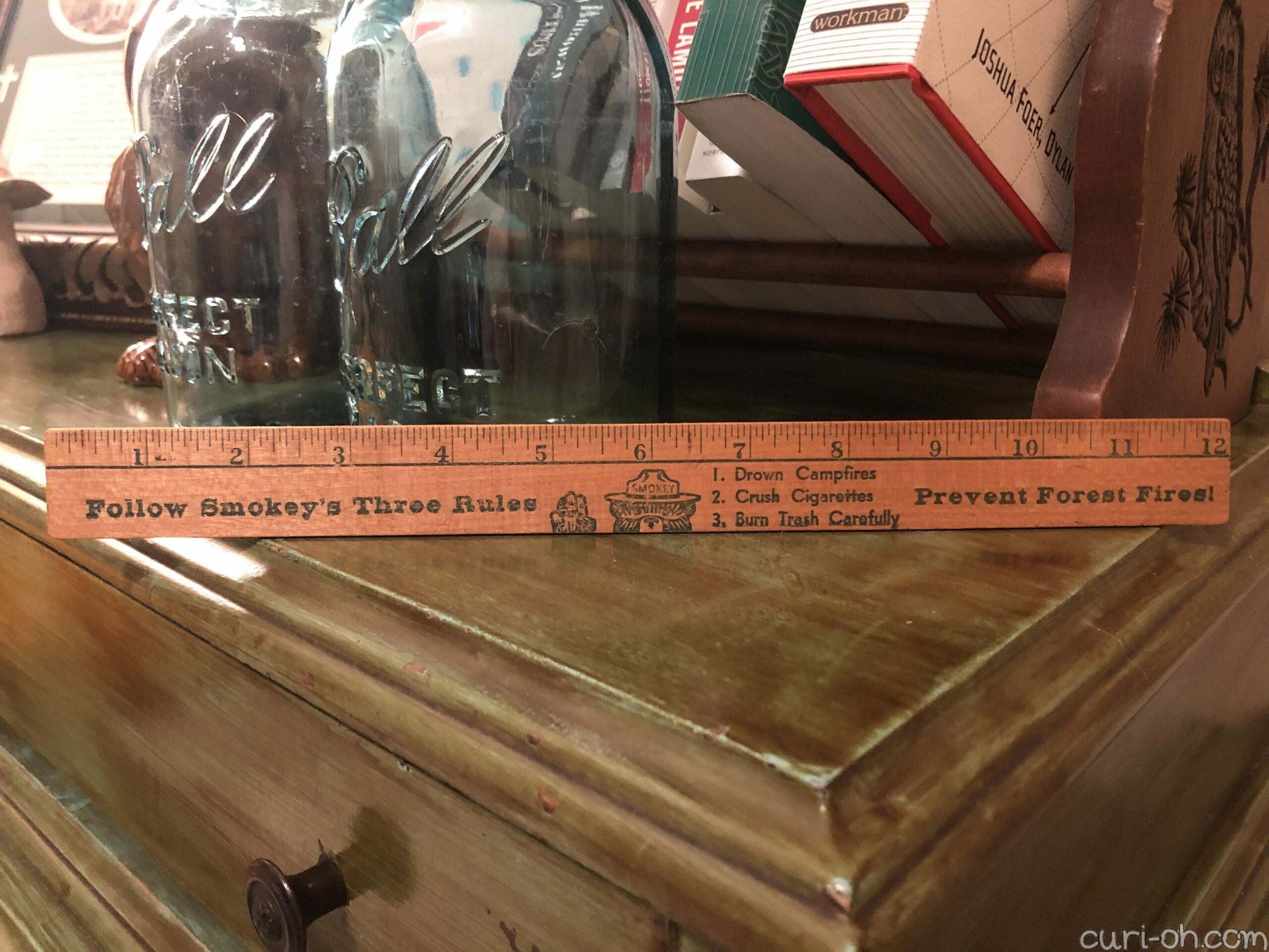 Your store. Smokey Bear Plastic Rulers